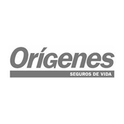 Origenes